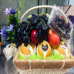 GDN01 Xuân đáo bình an tài lợi tiến