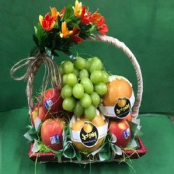 GSN-02 Xin chúc mừng sinh nhật bạn!