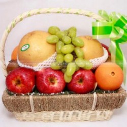 GV 26 Cát bụi