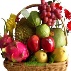 /uploads/shops/sinh_nhat/gsn-21-gtc87-920-gcs-1070.jpg