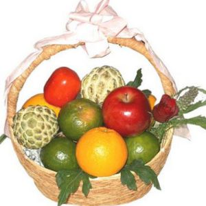 /uploads/shops/vieng/gv-28-gtc107-800-gcs-950.jpg