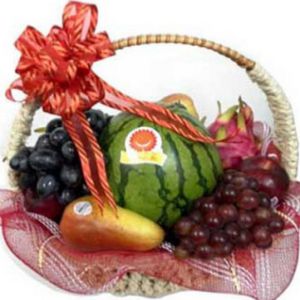 /uploads/shops/vieng/gv-32-gtc116-850-gcs-1000.jpg