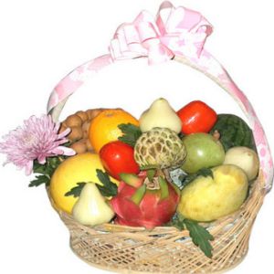 /uploads/shops/vieng/gv-33-gtc117-850-gcs-1000.jpg