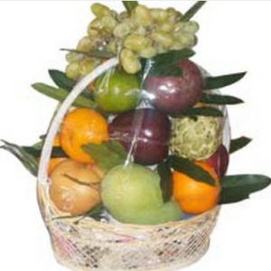 /uploads/shops/vieng/gv-34-gtc132-900-gcs-1050.jpg