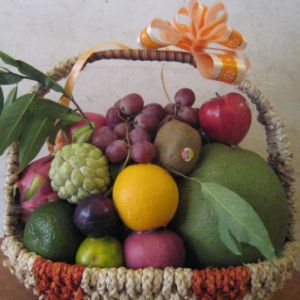 /uploads/shops/vieng/gv-36-gtc143-1020-gcs-1170.jpg